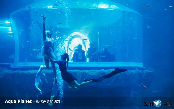 Aqua Planet C ִٻĵط