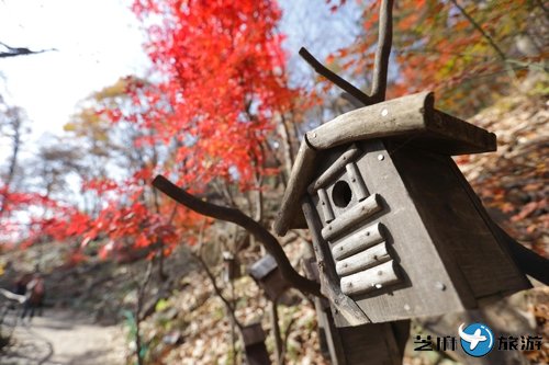 ּ洦ɼС(磩